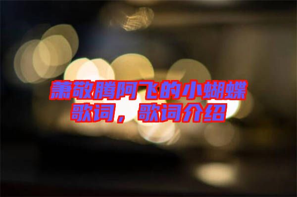 蕭敬騰阿飛的小蝴蝶歌詞，歌詞介紹
