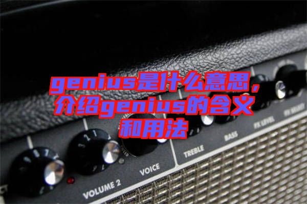 genius是什么意思，介紹genius的含義和用法