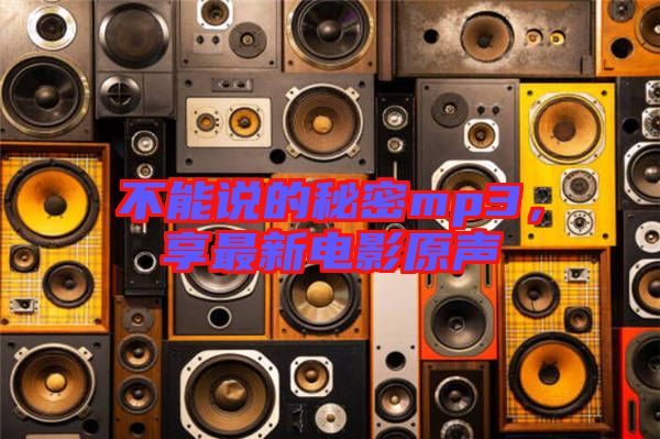 不能說的秘密mp3，享最新電影原聲