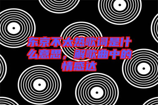 東京不太熱歌詞是什么意思，解歌曲中的情感達