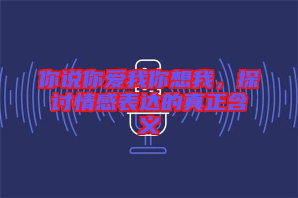 你說你愛我你想我，探討情感表達(dá)的真正含義