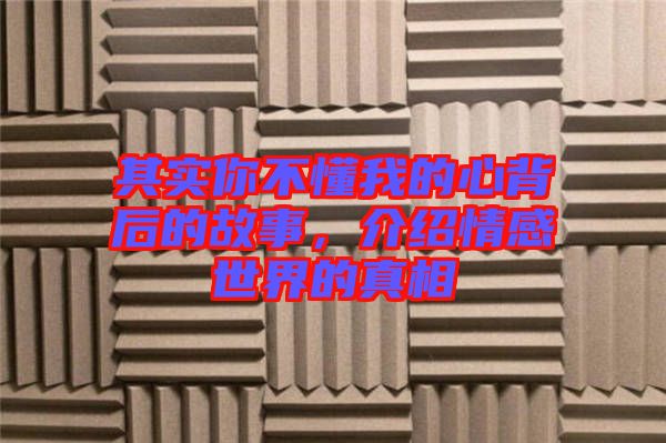 其實你不懂我的心背后的故事，介紹情感世界的真相