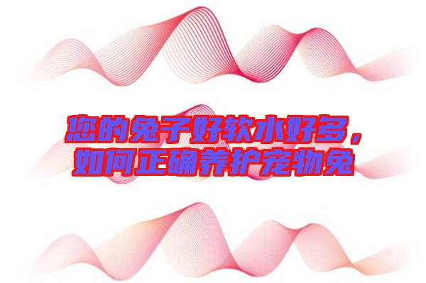 您的兔子好軟水好多，如何正確養(yǎng)護(hù)寵物兔