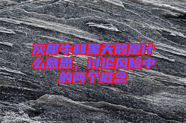 灰犀牛和黑天鵝是什么意思，討論風(fēng)險中的兩個概念