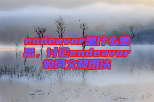 endeavor是什么意思，討論endeavor的詞義和用法