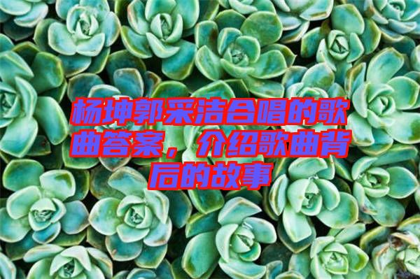 楊坤郭采潔合唱的歌曲答案，介紹歌曲背后的故事