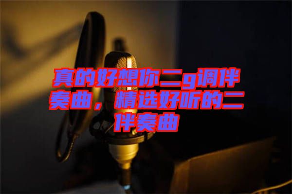真的好想你二g調伴奏曲，精選好聽的二伴奏曲