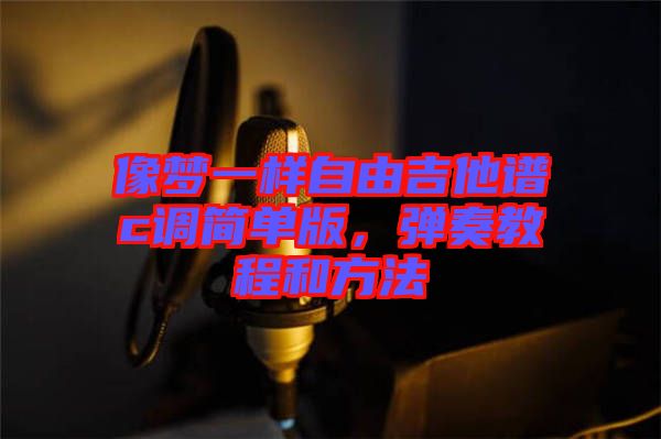 像夢(mèng)一樣自由吉他譜c調(diào)簡(jiǎn)單版，彈奏教程和方法