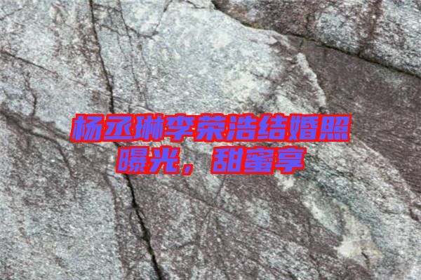 楊丞琳李榮浩結(jié)婚照曝光，甜蜜享