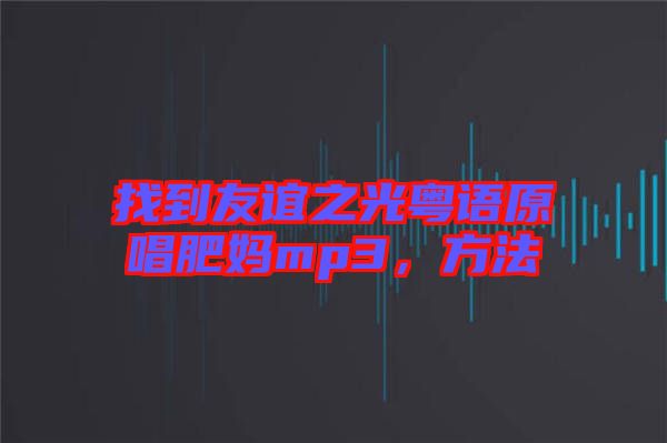 找到友誼之光粵語原唱肥媽mp3，方法