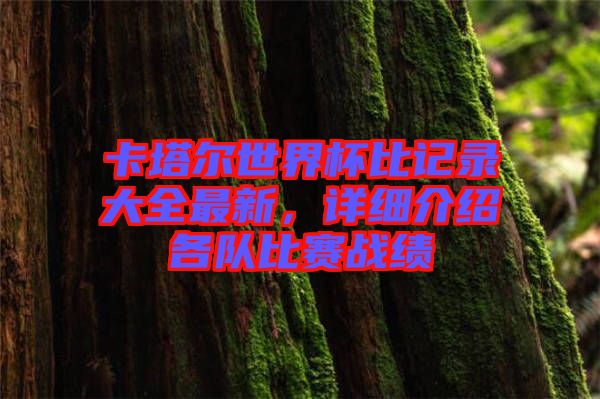 卡塔爾世界杯比記錄大全最新，詳細(xì)介紹各隊(duì)比賽戰(zhàn)績
