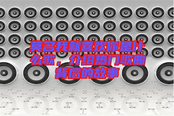 莫名我就喜歡你是什么歌，介紹熱門歌曲背后的故事