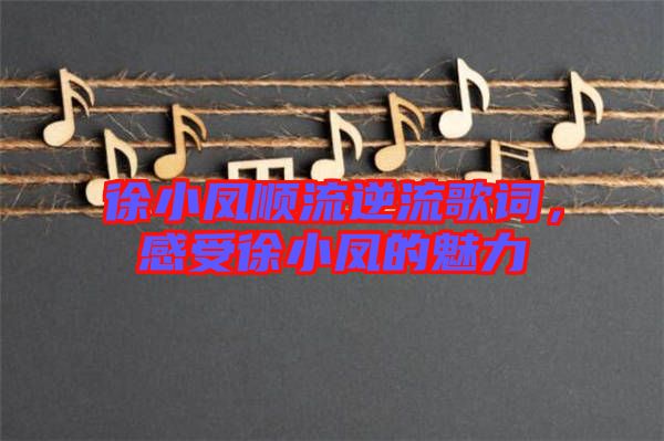 徐小鳳順流逆流歌詞，感受徐小鳳的魅力