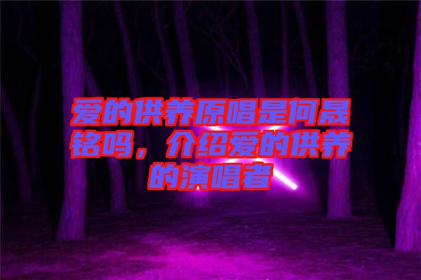 愛的供養(yǎng)原唱是何晟銘嗎，介紹愛的供養(yǎng)的演唱者