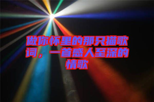 做你懷里的那只貓歌詞，一首感人至深的情歌