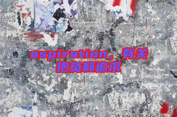 aspiration，有關(guān)抱負(fù)和追求
