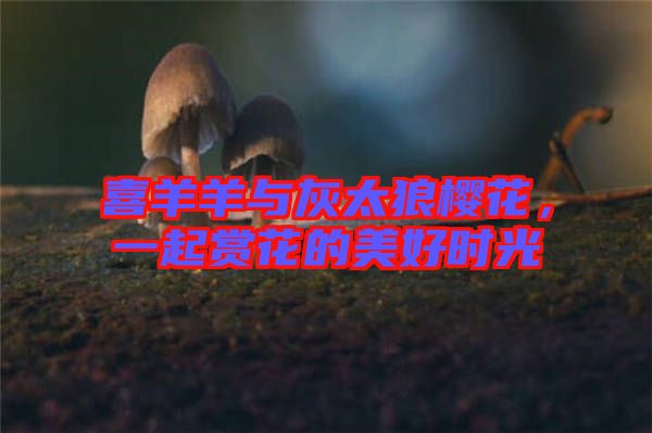 喜羊羊與灰太狼櫻花，一起賞花的美好時光