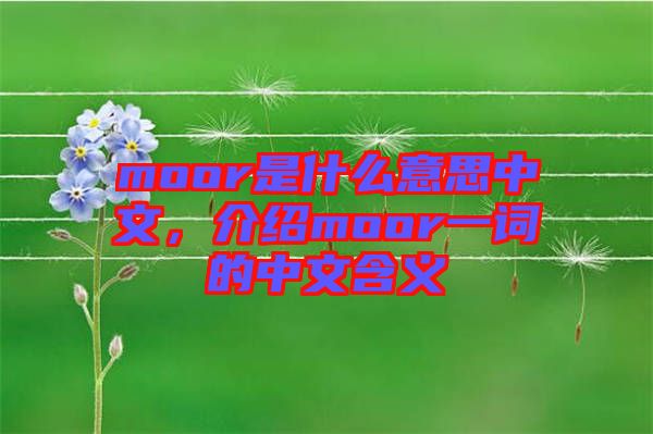 moor是什么意思中文，介紹moor一詞的中文含義