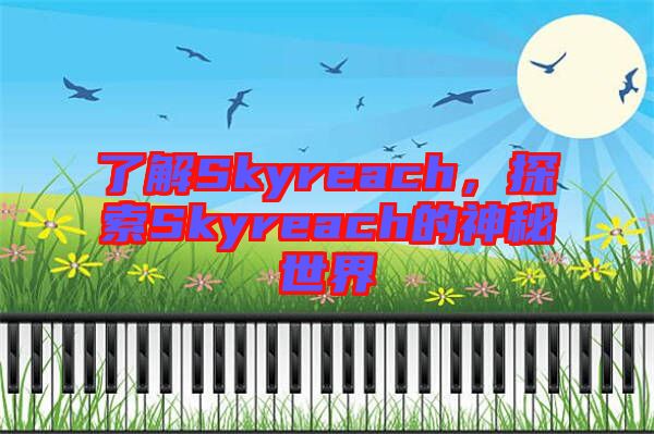 了解Skyreach，探索Skyreach的神秘世界