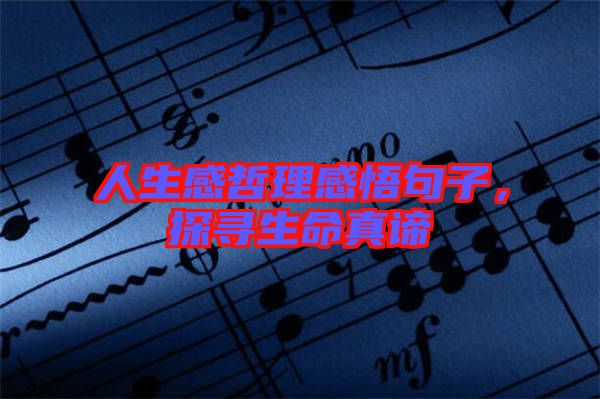 人生感哲理感悟句子，探尋生命真諦