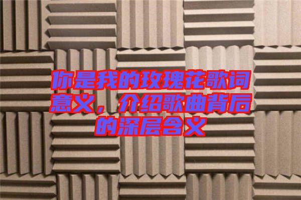 你是我的玫瑰花歌詞意義，介紹歌曲背后的深層含義