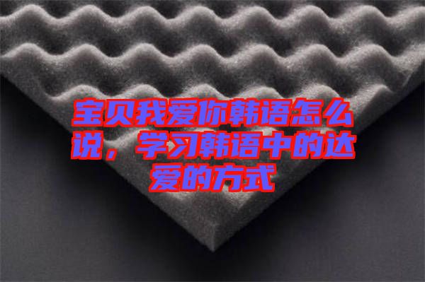 寶貝我愛你韓語怎么說，學習韓語中的達愛的方式