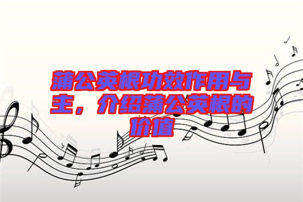 蒲公英根功效作用與主，介紹蒲公英根的價(jià)值