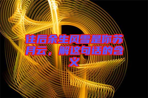 往后余生風(fēng)雪是你蘇月云，解這句話的含義
