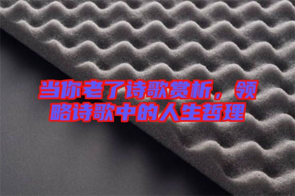 當(dāng)你老了詩歌賞析，領(lǐng)略詩歌中的人生哲理