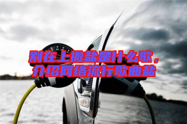 別在上撒鹽是什么歌，介紹網(wǎng)絡(luò)流行歌曲鹽