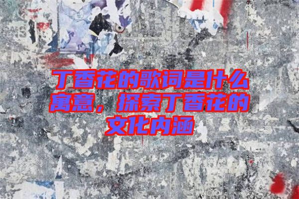 丁香花的歌詞是什么寓意，探索丁香花的文化內(nèi)涵