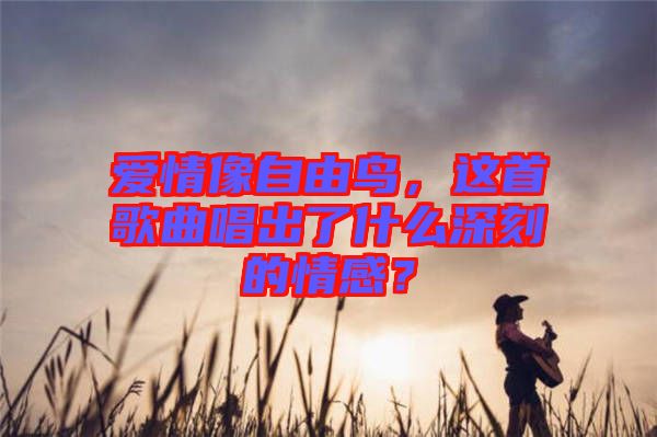 愛情像自由鳥，這首歌曲唱出了什么深刻的情感？