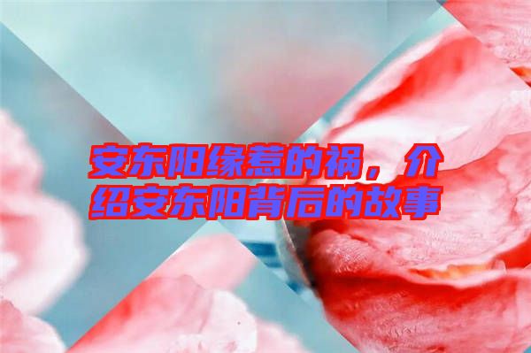 安東陽緣惹的禍，介紹安東陽背后的故事