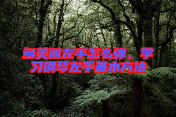 多美麗左手怎么彈，學(xué)習(xí)鋼琴左手基本方法