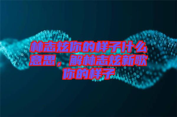 林志炫你的樣子什么意思，解林志炫新歌你的樣子