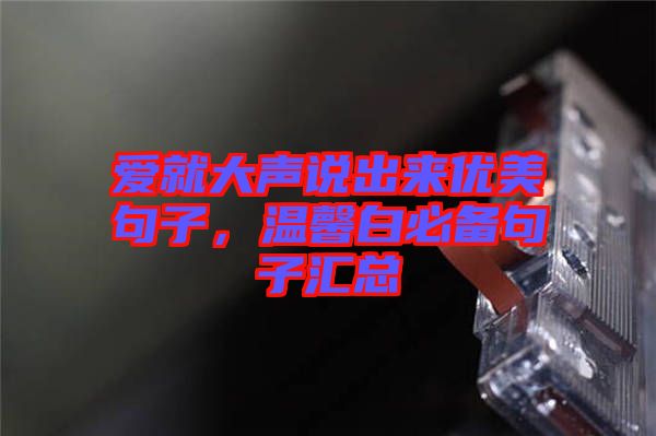 愛就大聲說出來優(yōu)美句子，溫馨白必備句子匯總