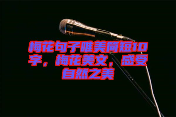 梅花句子唯美簡短10字，梅花美文，感受自然之美