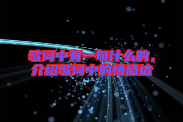 歌詞中有一句什么的，介紹歌詞中的情感達(dá)