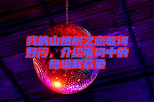 我的山楂樹之戀歌詞好污，介紹歌詞中的隱喻和意象