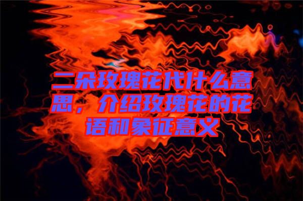二朵玫瑰花代什么意思，介紹玫瑰花的花語和象征意義