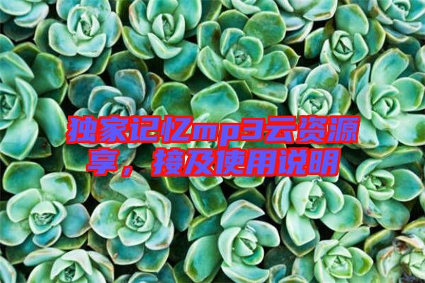 獨家記憶mp3云資源享，接及使用說明