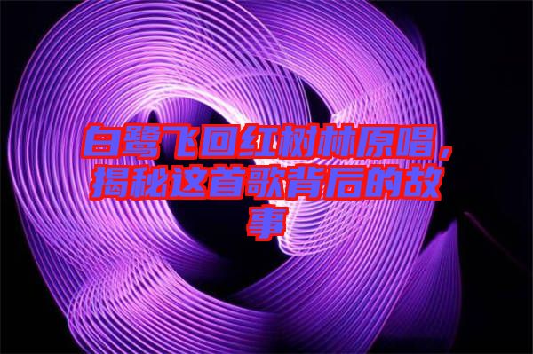 白鷺飛回紅樹林原唱，揭秘這首歌背后的故事