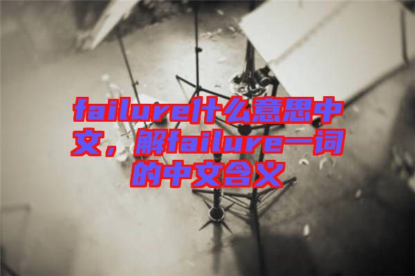 failure什么意思中文，解failure一詞的中文含義