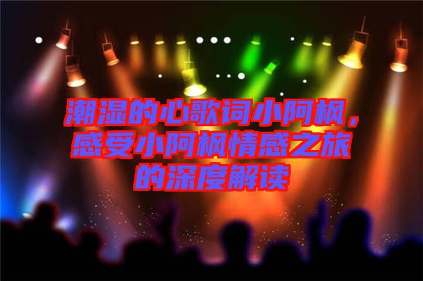 潮濕的心歌詞小阿楓，感受小阿楓情感之旅的深度解讀