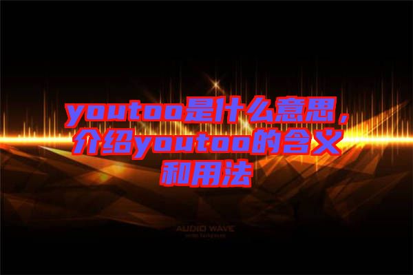 youtoo是什么意思，介紹youtoo的含義和用法