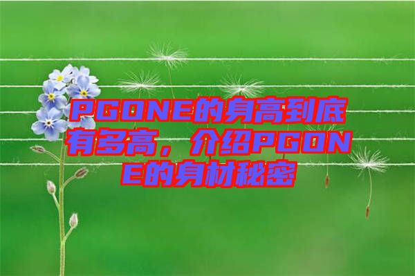 PGONE的身高到底有多高，介紹PGONE的身材秘密