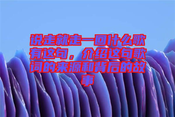 說走就走一回什么歌有這句，介紹這句歌詞的來源和背后的故事