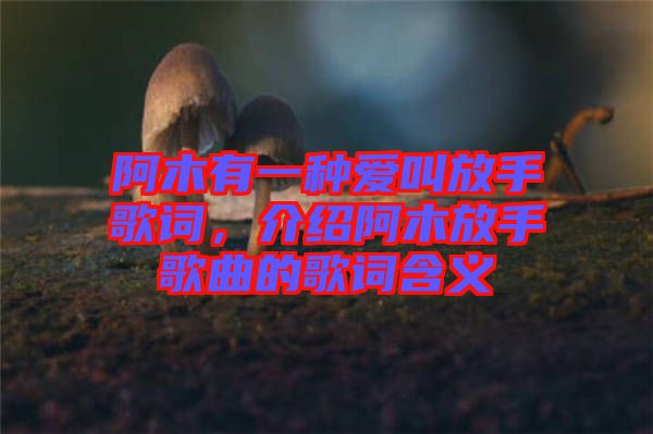 阿木有一種愛叫放手歌詞，介紹阿木放手歌曲的歌詞含義