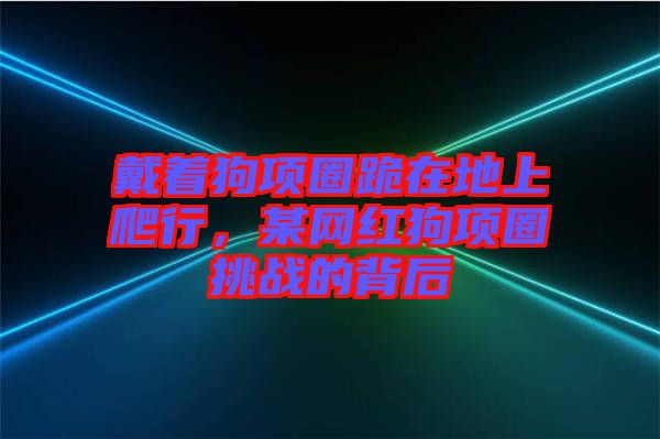 戴著狗項圈跪在地上爬行，某網(wǎng)紅狗項圈挑戰(zhàn)的背后