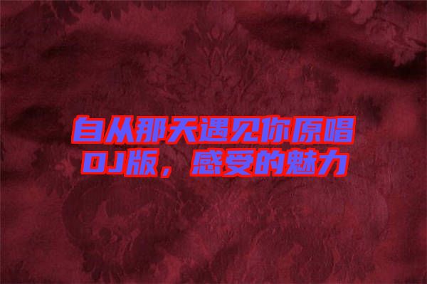 自從那天遇見(jiàn)你原唱DJ版，感受的魅力